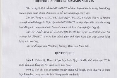 Quyết định kiện toàn ban chỉ đạo thực hiện Quy chế dân chủ năm học 2024 – 2025