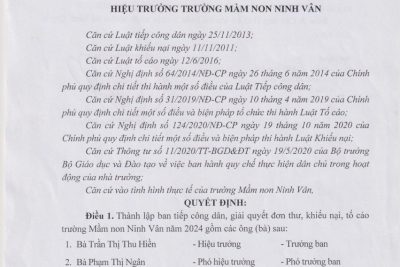 Quyết định thành lập Ban tiếp công dân, giải quyết đơn thư khiếu nại tố cáo năm 2024