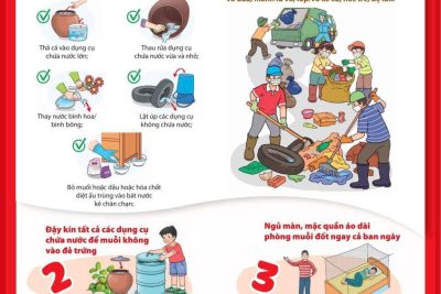 Các biện pháp phòng bệnh sốt xuất huyết